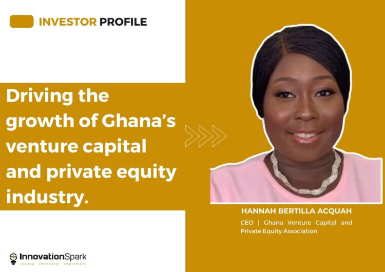 Investor Profile with Hannah Bertilla Acquah, CEO of the Ghana Venture Capital and Private Equity Association.