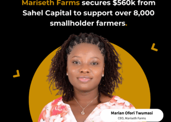 Mariseth Farms CEO