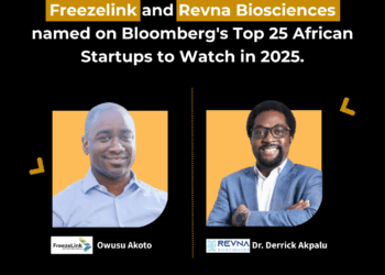 Bloomberg Africa Top 25 Startups