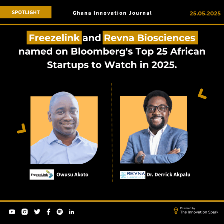Bloomberg Africa Top 25 Startups