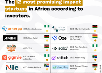 Future impact unicorns